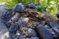 Первоуральцы собрали 60 мешков мусора