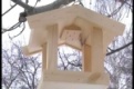 15 птичьих столовых открылись в Первоуральске