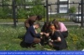 Выпускники первоуральской школы №2 поучаствовали в акции "Посади дерево"