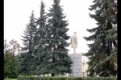 Судьба голубых елей на главной площади Первоуральска оказалась под вопросом