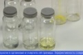 Уральские учёные синтезировали безопасные вещества для диагностики рака