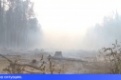 Распространение лесного огня смогли остановить в Свердловской области