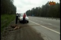 Сегодня утром на трассе Пермь-Екатеринбург неизвестный сбил лося