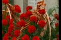 Митинг у Вечного огня. 9-го мая Первоуральске прошло традиционное мероприятие с возложением цветов и минутой молчания.