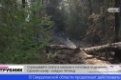 Министр природных ресурсов области прокомментировал ситуацию с пожарами