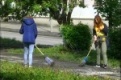 Первоуральские школьники помогают наводить чистоту на городских аллеях.