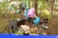 В Первоуральске пройдёт экоквест «Чистые игры»