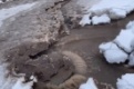 В Первоуральске произошла авария на сетях водоснабжения в районе ТЦ "Пассаж"