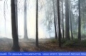 В Свердловской области сейчас действует 3 природных пожара