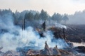 Локализованы все лесные пожары, действующие в Свердловской области