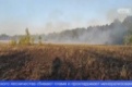 В районе Динаса горит лес недалеко от коллективных садов