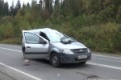 На одной из пригородных трасс Первоуральска легковой автомобиль столкнулся с выбежавшим на дорогу лосем