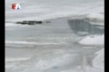 Лёд на городском пруду с каждым днём становится всё тоньше