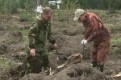 Первоуральск принял участие во Всероссийском дне посадке леса