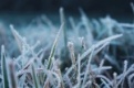 В Свердловской области ожидаются ночные заморозки