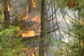 В Первоуральске началась подготовка к пожароопасному сезону