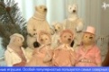 В Свердловской области представили уникальную коллекцию авторских кукол