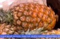 Четыре тонны манго и столько же ананасов прибыло в Свердловскую область из Китая