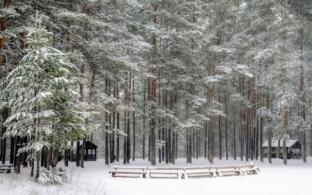 Рабочая неделя в Первоуральске будет прохладной