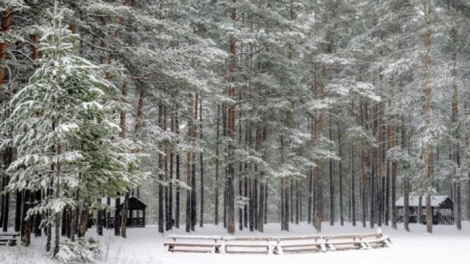Рабочая неделя в Первоуральске будет прохладной