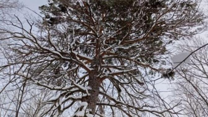 Выходные в Первоуральске будут тёплыми