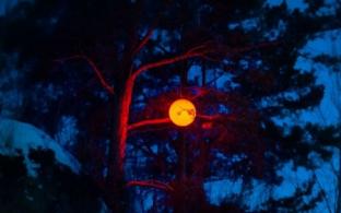 Фестиваль светового искусства «Не темно» пройдёт на пяти площадках столицы Урала 14 и 15 февраля