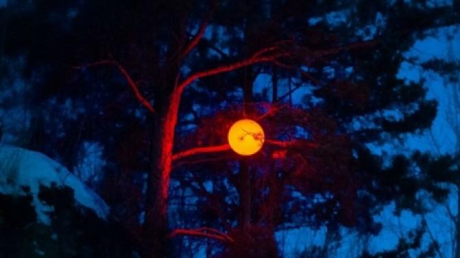 Фестиваль светового искусства «Не темно» пройдёт на пяти площадках столицы Урала 14 и 15 февраля