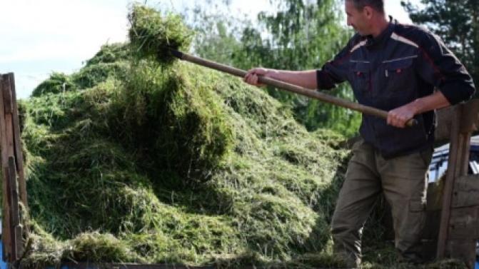 Свердловские фермеры, которые станут участниками седьмого потока «Школы фермера», будут изучать основы аграрного туризма