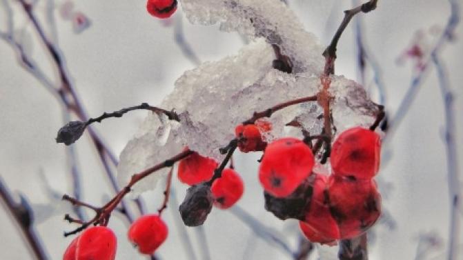 Рабочая неделя в Первоуральске будет прохладной