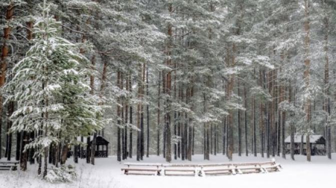 Выходные в Первоуральске будут тёплыми
