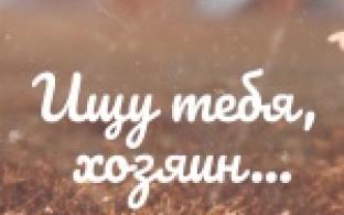 Ищу тебя, хозяин