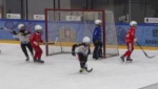 Почти 80 юных спортсменов боролись за путёвку в финал Турнира на призы Святейшего Патриарха Московского и всея Руси