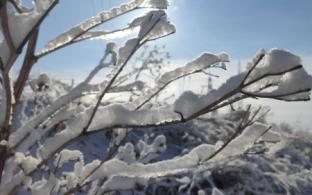 В Первоуральске похолодает к концу рабочей недели