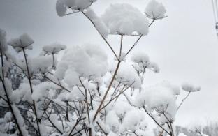 В выходные в Первоуральске будет тепло и снежно