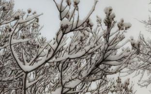 В Первоуральске потеплеет к концу рабочей недели