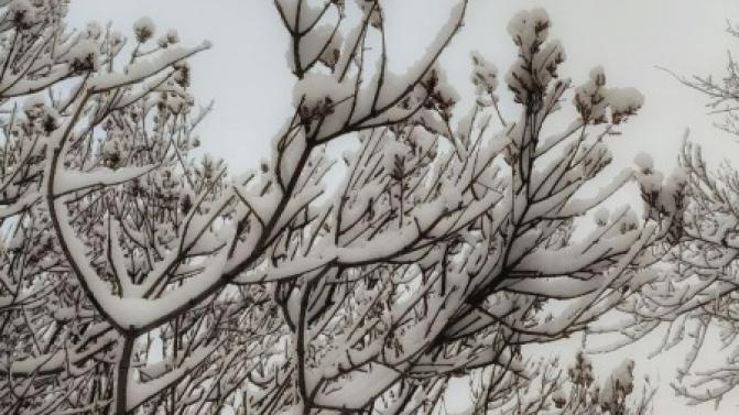 В Первоуральске потеплеет к концу рабочей недели