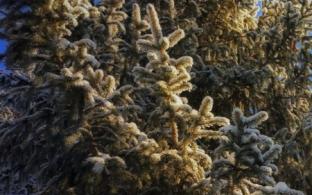 В выходные в Первоуральске немного теплеет