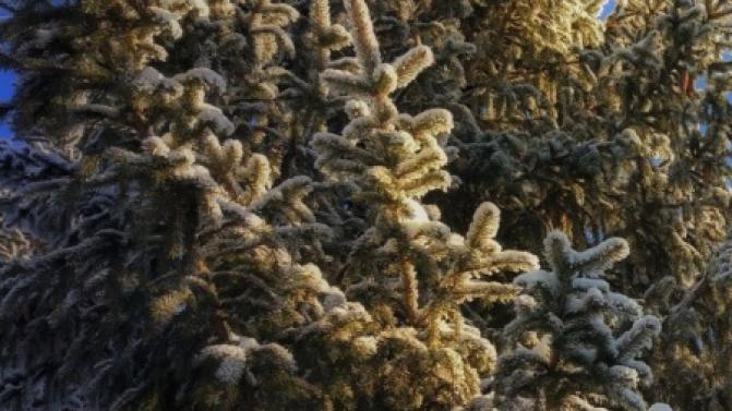 В выходные в Первоуральске немного теплеет