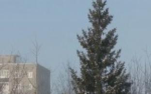 Морозы возвращаются