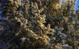 В Первоуральск вернутся холода