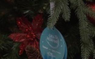 Мечты становятся явью