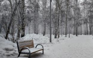 В выходные в Первоуральске потеплеет