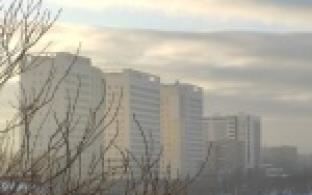 Почти пятьсот первоклассников Первоуральска, а это примерно каждый третий ученик начальной школы, сегодня остались дома