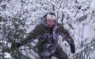 Один из главных символов Нового года – живую ель – уже можно не только присмотреть в лесу, но и срубить