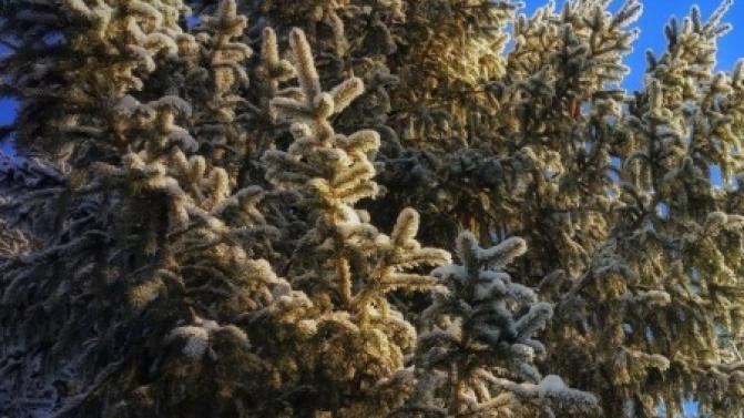 В Первоуральске потеплеет к середине рабочей недели