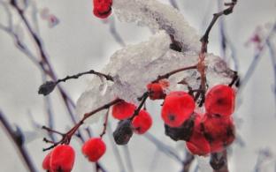 В выходные в Первоуральске похолодает