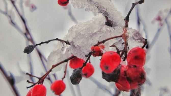 В выходные в Первоуральске похолодает