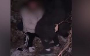 Видеозапись жестокой расправы над школьницей из Первоуральска сегодня разлетелась по интернету