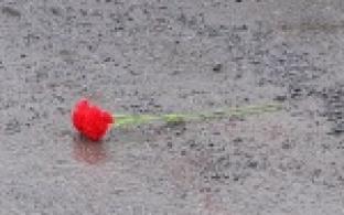 Сегодня в посёлке Новоуткинске погибла 14-летняя девочка