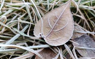 В Первоуральске немного похолодает к концу рабочей недели